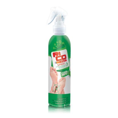 Desodorante de pies rico spray  200 g 406945