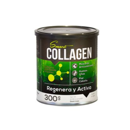 Smart collagen en polvo 300 g 408480
