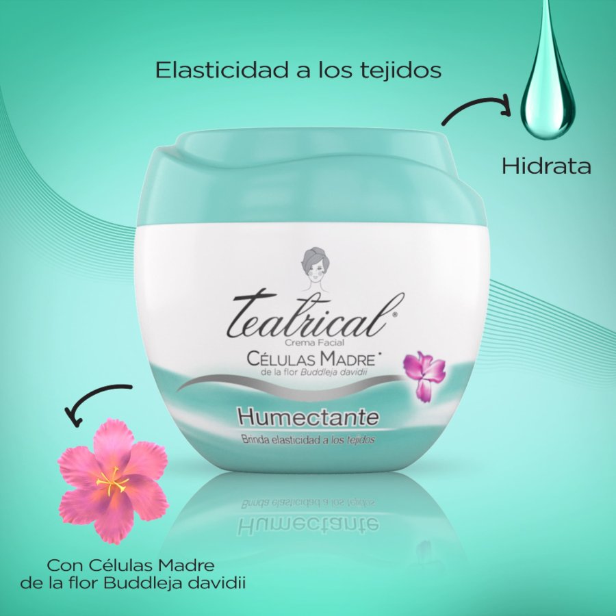  Hidratante Facial TEATRICAL Humectante en Crema 100 gr428415